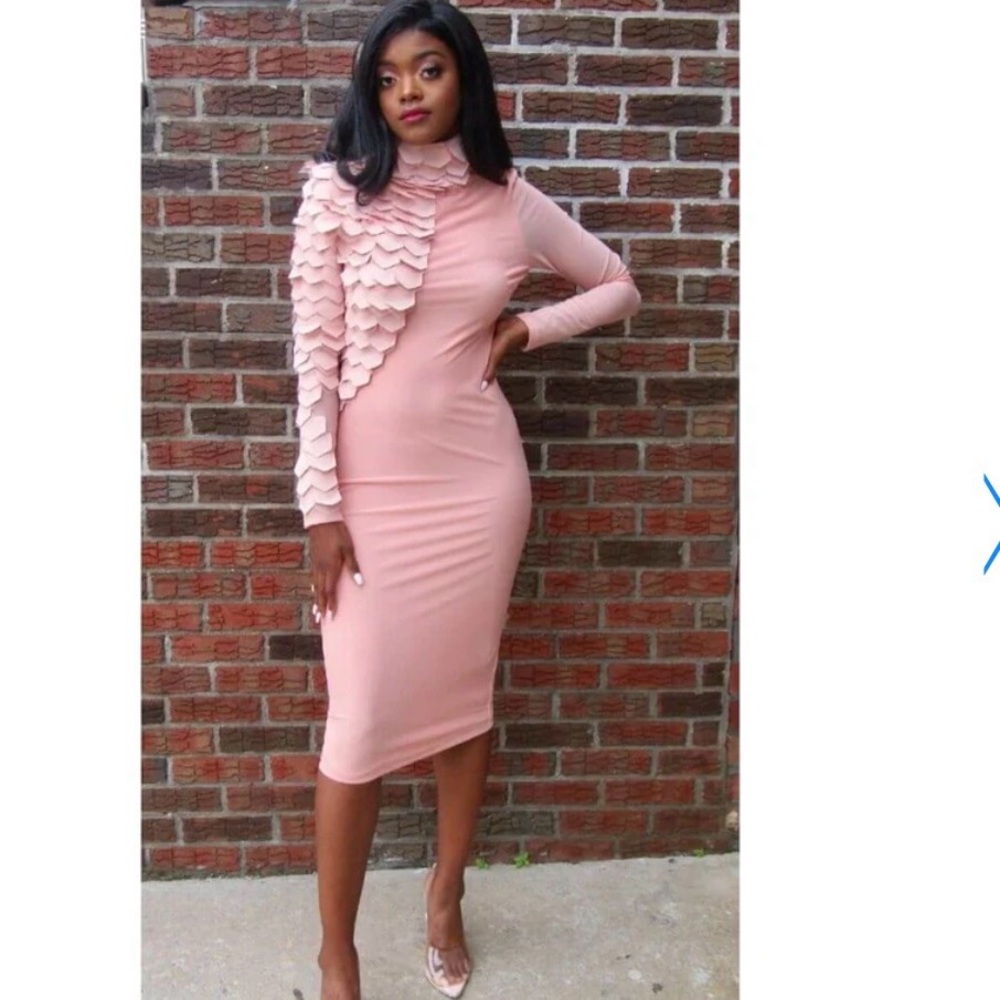 Pink Boutique Long Sleeve Dress with Cool Details New Large